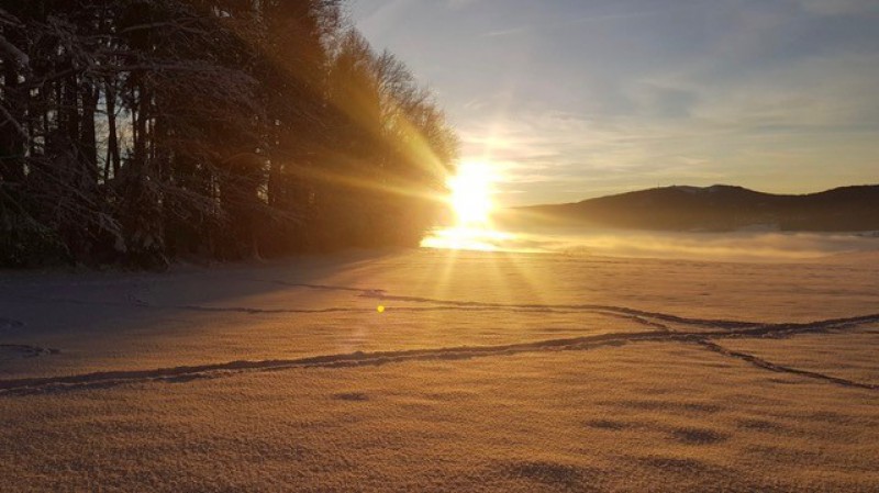 2023_Lisie768-re_Hiver