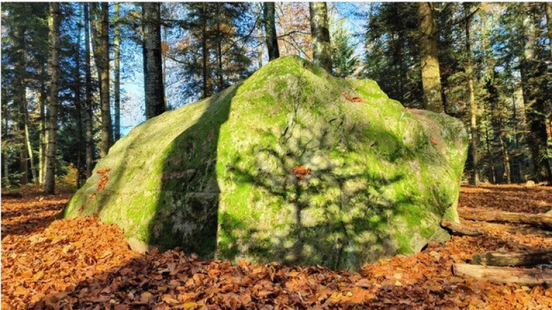 Lisie768-re_MaisonRouge_bloc-erratique