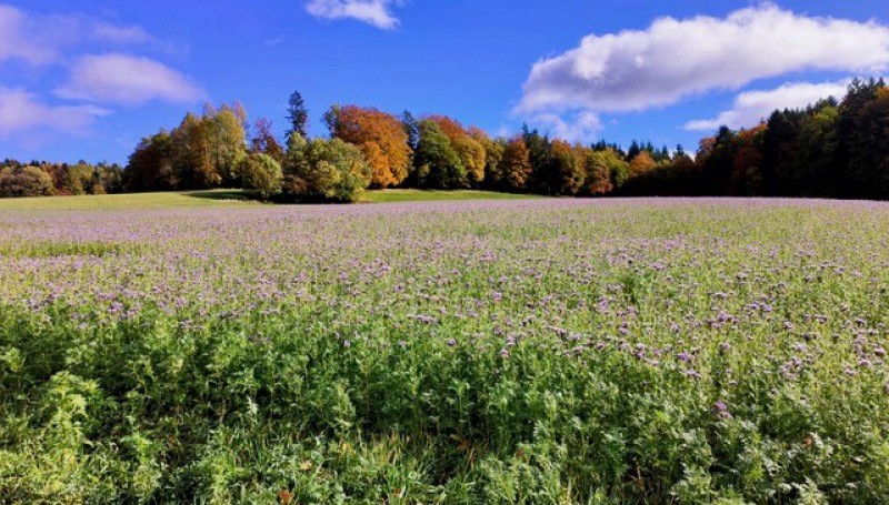 Lisiere_MaisonRouge-vue-exterieure