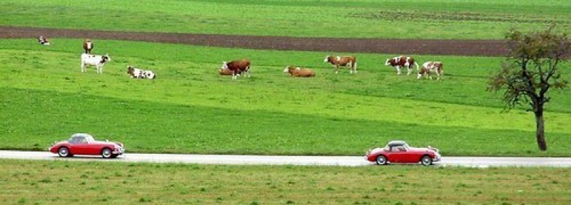 Présentation du Burtigny